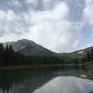 Meet your Posher, Aiden